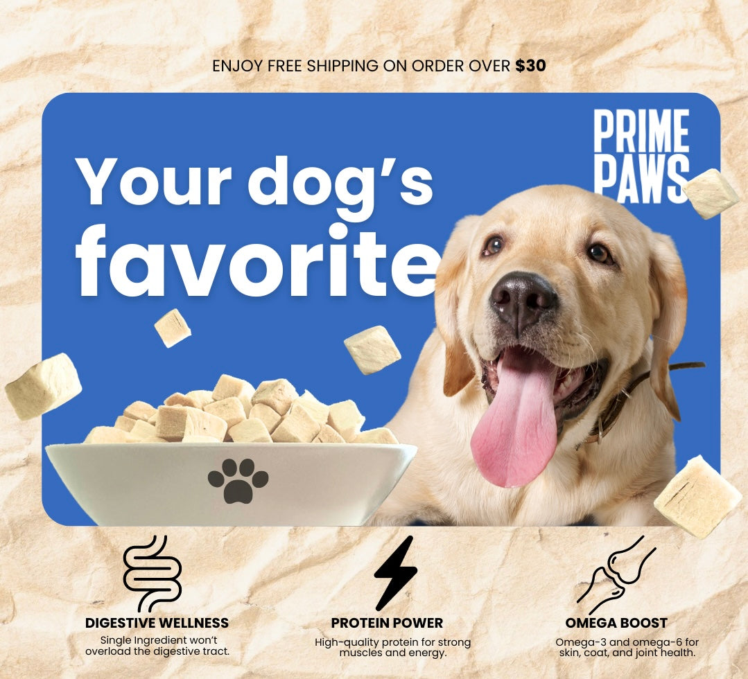 PRIME PAWS | Chicken Cube Dog Treats | Single Ingredient | 100% Natural Chicken Breast